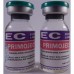  PRIMOJECT 